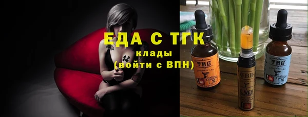 хмурый Бикин