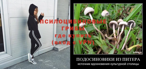 круглые Няндома