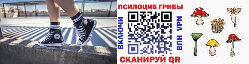 Галлюциногенные грибы MAGIC MUSHROOMS  Переславль-Залесский 