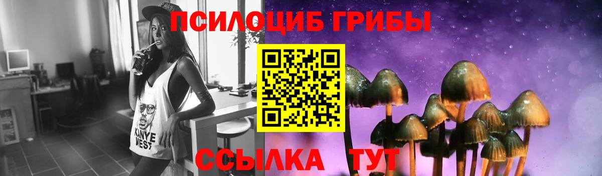 Псилоцибиновые грибы Psilocybe  Вход с VPN  Псилоцибиновые грибы Cubensis  Переславль-Залесский 